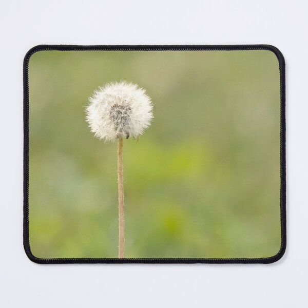Item preview, White dandelion on green designed and sold by KRFNatureGifts.