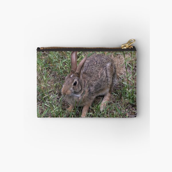 Item preview, Mr. Rabbit designed and sold by Tim Dusenberry.