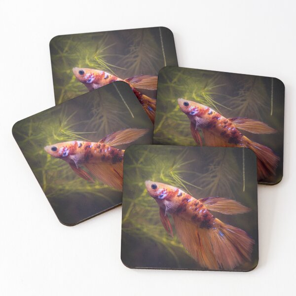 Item preview, Orange Beta Fish Aquarium designed and sold by kreafox.