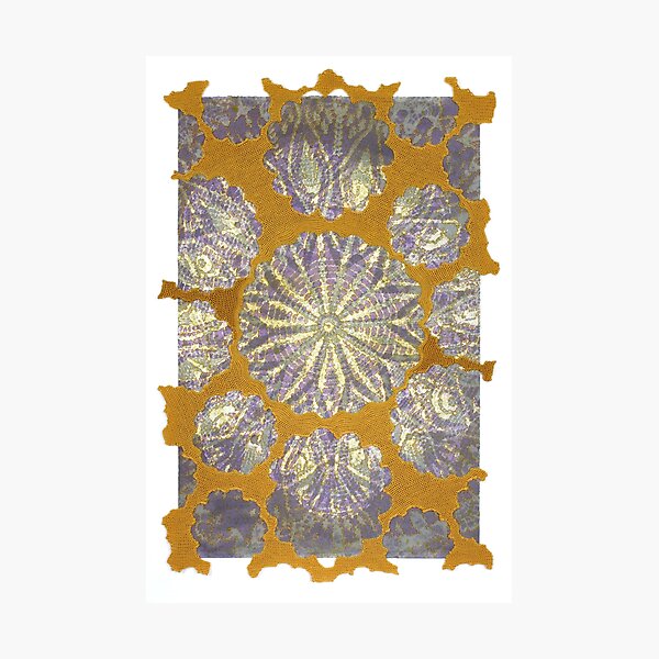 Memory XIX Photographic Print
