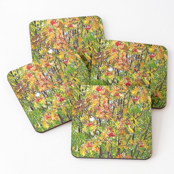 Item preview, Lake Superior Fall Floral Study 4  designed and sold by Robert Meyers-Lussier.