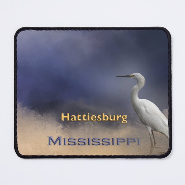 Item preview, Egret Hattiesburg MS designed and sold by Elisabeth Lucas.