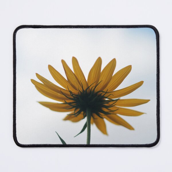 Item preview, Single Yellow Flower Against the Sky designed and sold by SunlitColors.