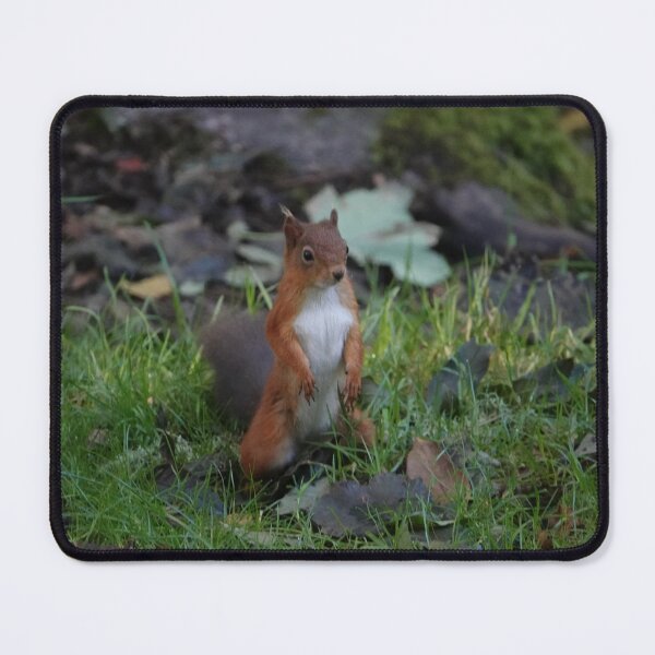 Item preview, Stick them up! designed and sold by frogs123.