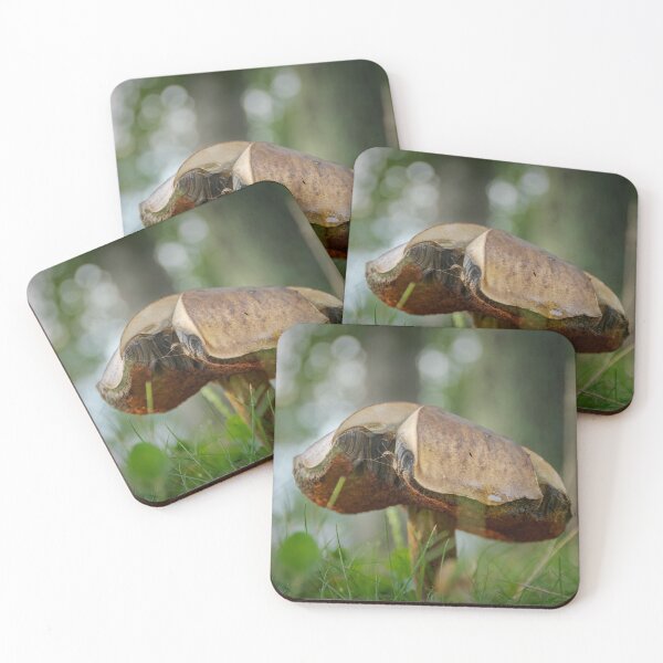 Item preview, hongos solitarios designed and sold by HMacPhoto.