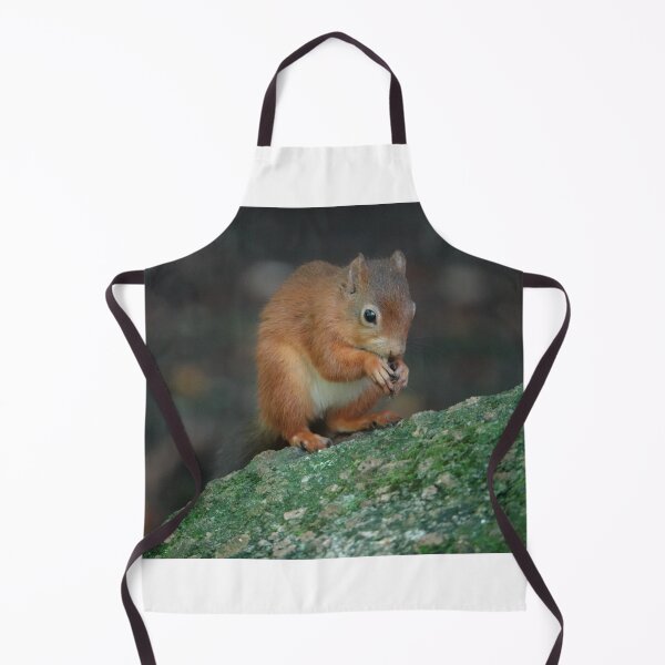 Item preview, Eating a nut designed and sold by frogs123.
