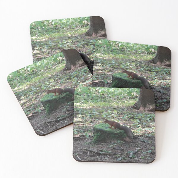 Item preview, Where are the nuts? designed and sold by frogs123.