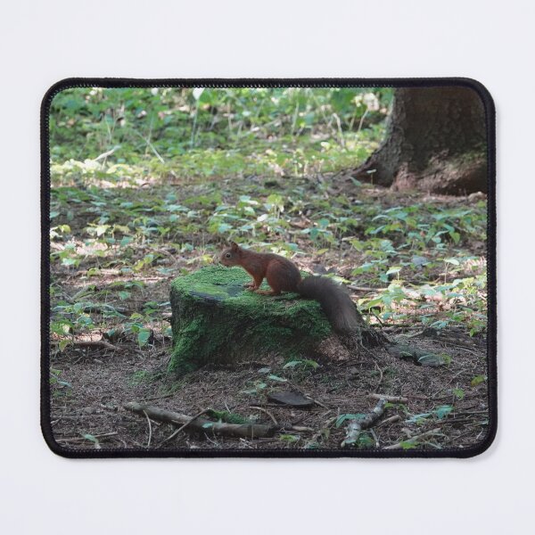 Item preview, Where are the nuts? designed and sold by frogs123.