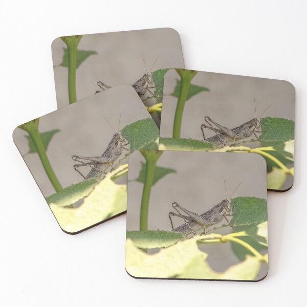 Item preview, Grasshopper Enjoying a Leaf Lunch designed and sold by CarolM.