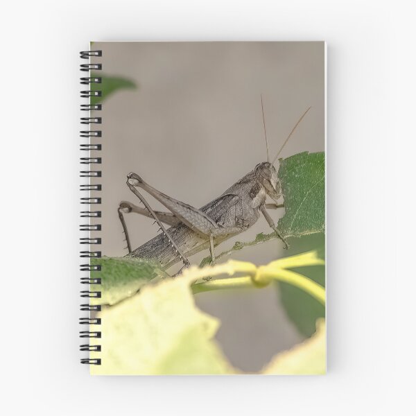Item preview, Grasshopper Enjoying a Leaf Lunch designed and sold by CarolM.