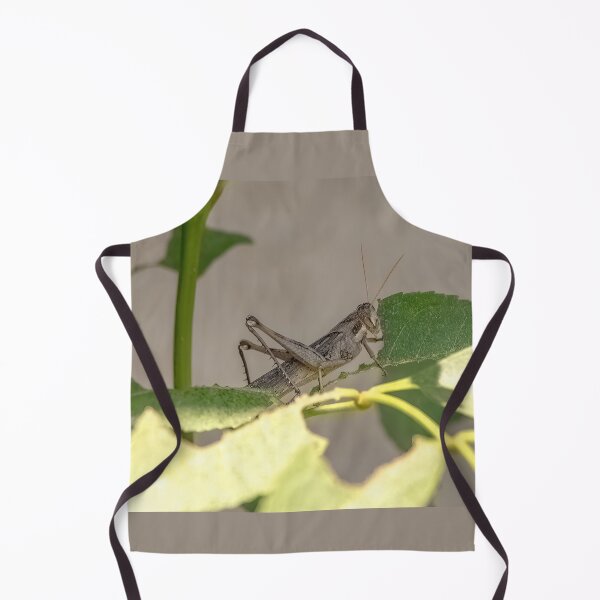 Item preview, Grasshopper Enjoying a Leaf Lunch designed and sold by CarolM.