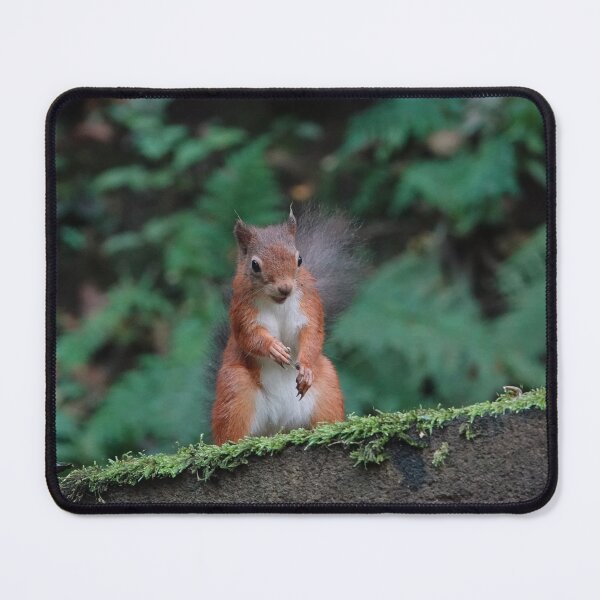 Item preview, Are there any more nuts? designed and sold by frogs123.