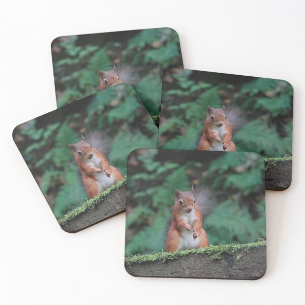 Item preview, Are there any more nuts? designed and sold by frogs123.