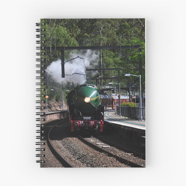 Item preview, 20231015 Otford Stn, NSW - 3801 -2 designed and sold by muz2142.