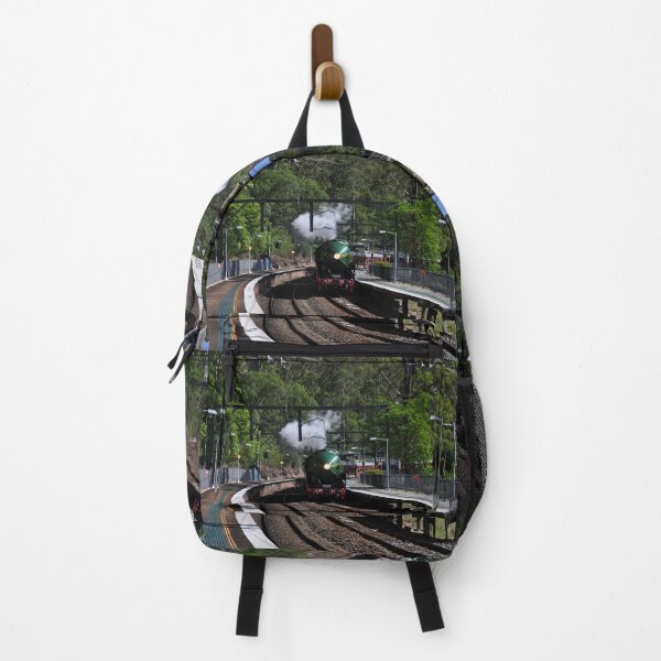 Item preview, 20231015 Otford Stn, NSW - 3801 -2 designed and sold by muz2142.