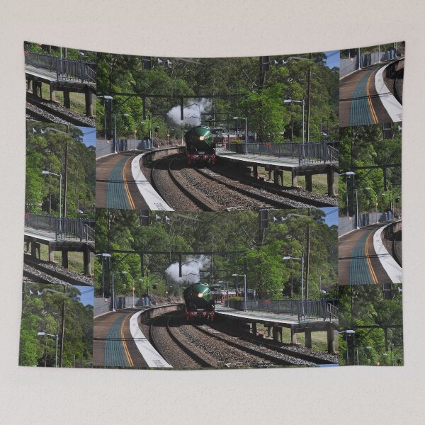 Item preview, 20231015 Otford Stn, NSW - 3801 -2 designed and sold by muz2142.