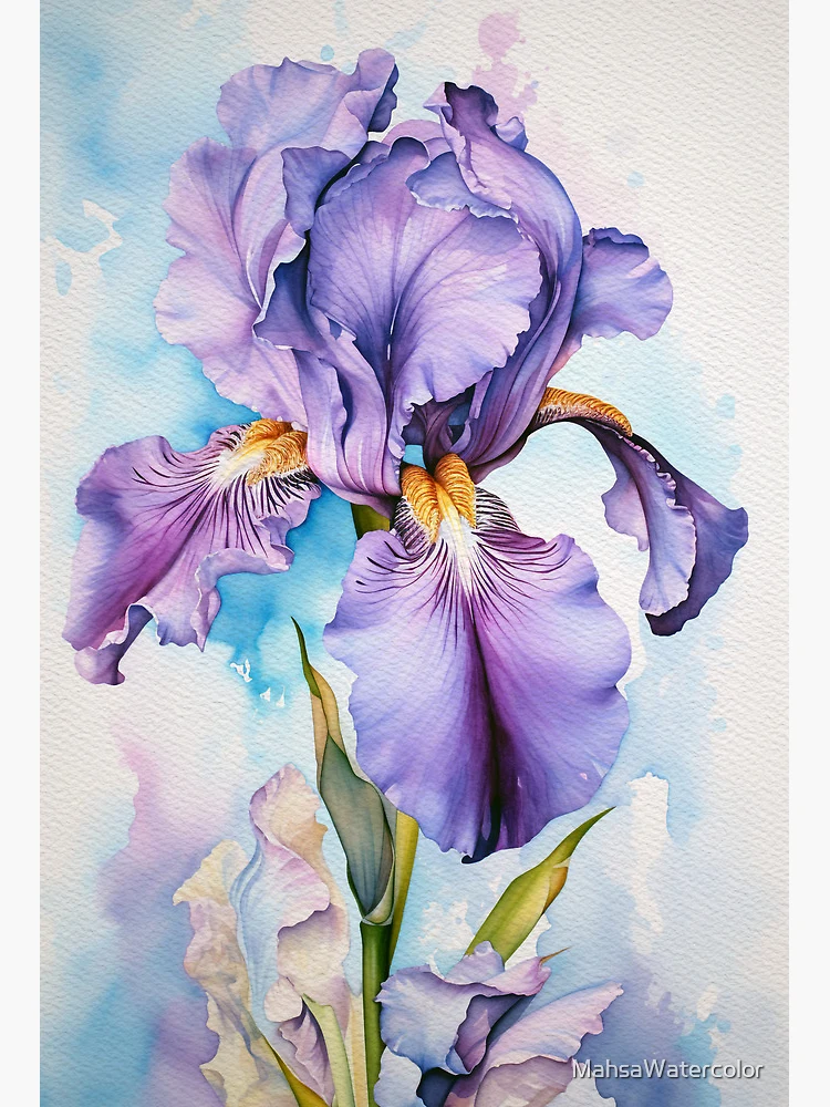 Iris painting Iris floral art online