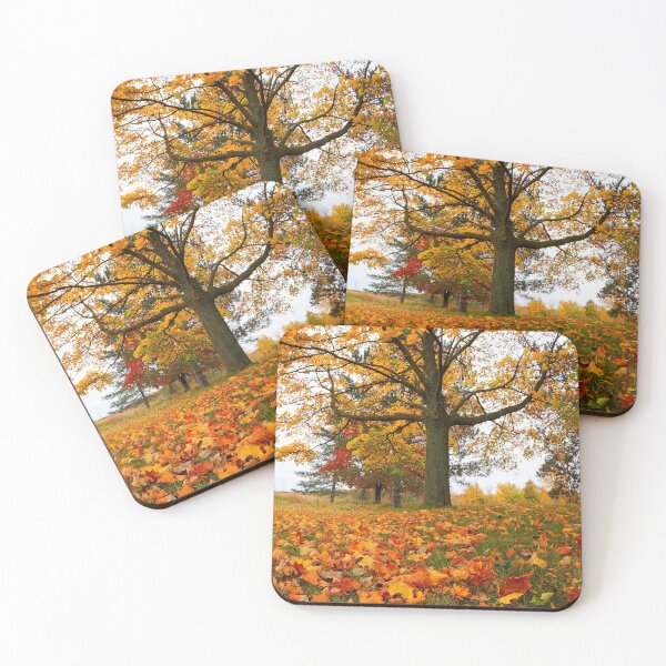 Item preview, With Open Arms designed and sold by fototaker Tony.