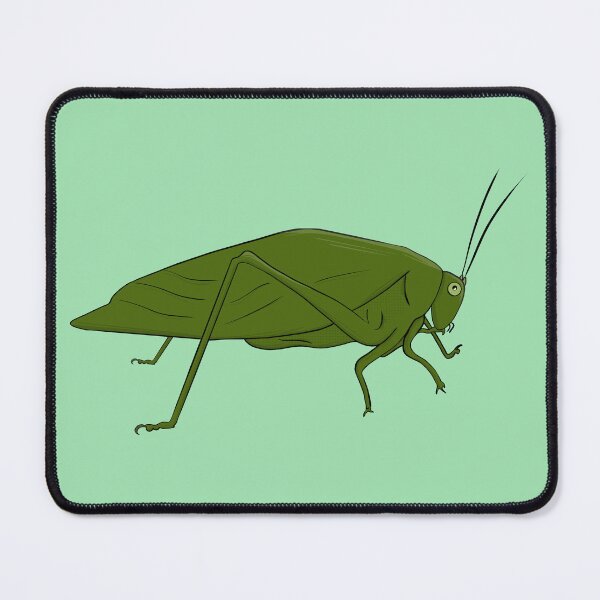 Item preview, Locust Grasshopper Insect Etmonology designed and sold by shopdiego.