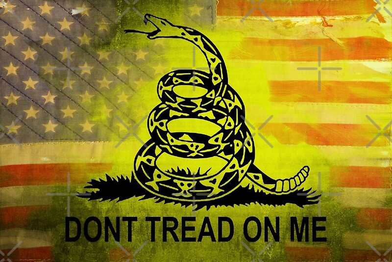Dont Tread On Me Shirts Sticker American Flag Background Art Print
