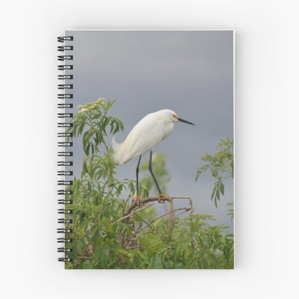 Item preview, Florida wilderness designed and sold by Margaret Shark.