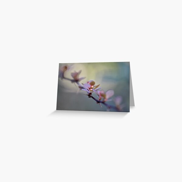 Elegant Budding Twig Greeting Card