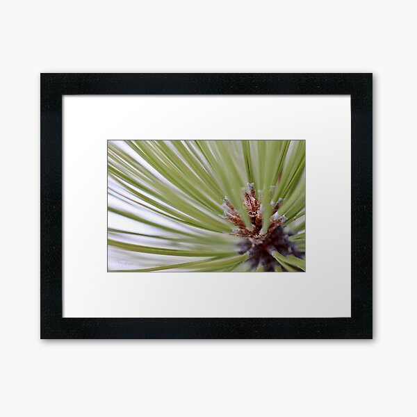 Dimensional Texture Framed Art Print