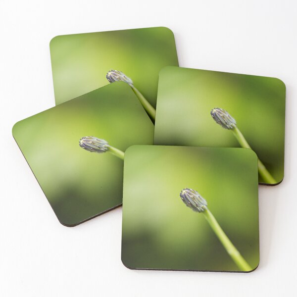 Item preview, Daisy Bud On Green designed and sold by Joy Watson - Natural Light Photography .