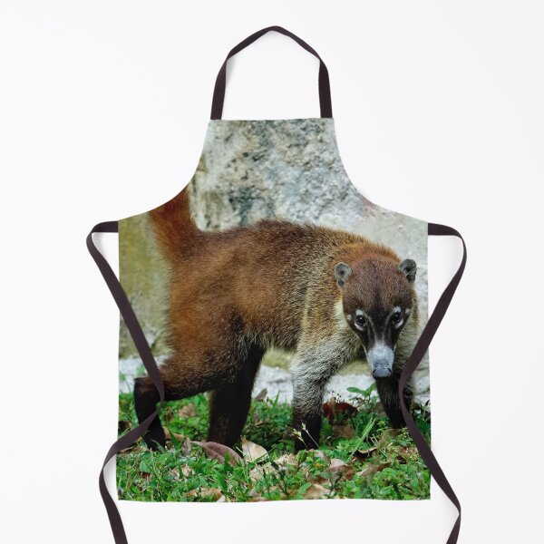 Item preview, Guatemala - Tikal archaeological site, Coatis designed and sold by franck380.