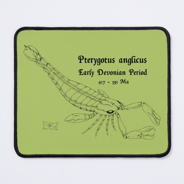 Item preview, Pterygotus anglicus designed and sold by DavidNeffArt.