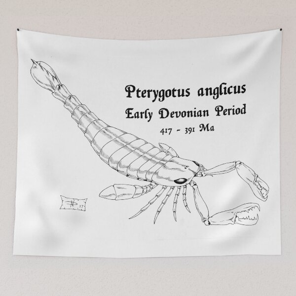 Item preview, Pterygotus anglicus designed and sold by DavidNeffArt.
