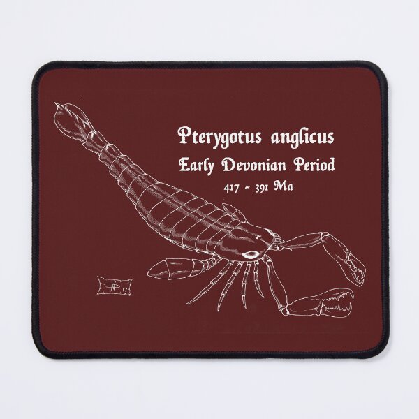 Item preview, Pterygotus anglicus designed and sold by DavidNeffArt.