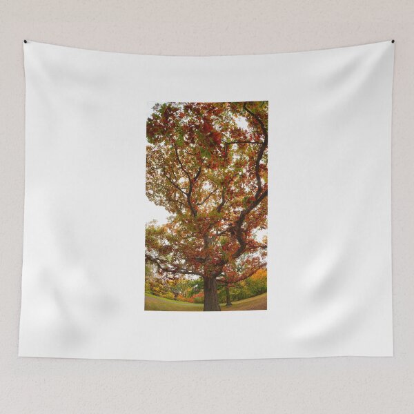 Item preview, Still I Stand designed and sold by fototaker Tony.