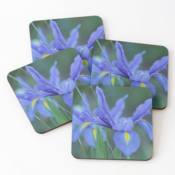 Item preview, Iris designed and sold by Kim Chi Thai.