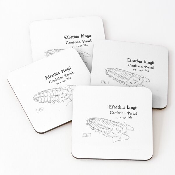 Item preview, Elrathia kingii designed and sold by DavidNeffArt.
