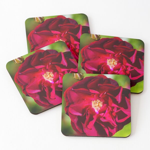 Item preview, Like A Velvet Red Rose designed and sold by Joy Watson - Natural Light Photography .