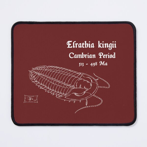Item preview, Elrathia kingii designed and sold by DavidNeffArt.
