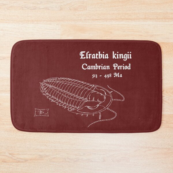 Item preview, Elrathia kingii designed and sold by DavidNeffArt.