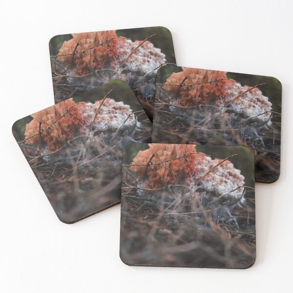 Item preview, Coral mushroom designed and sold by Adele Olsauskaite.