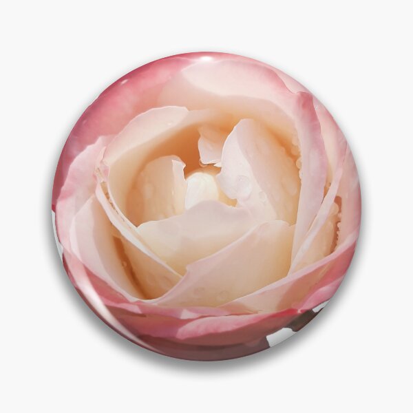 Item preview, Pink and cream rose designed and sold by Ruutification.
