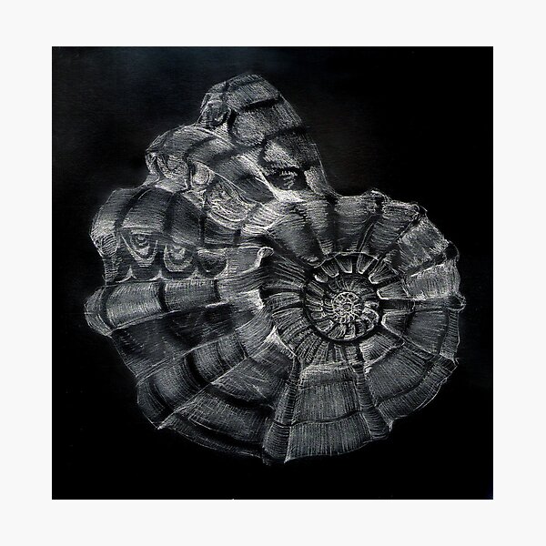 Item preview, Shell Study For My Mom designed and sold by Carla Wick/Jandelle Petters.