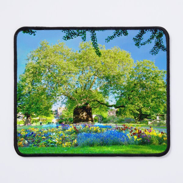 Item preview, Canterbury Westgate Gardens Tree designed and sold by Alisonchambers2.