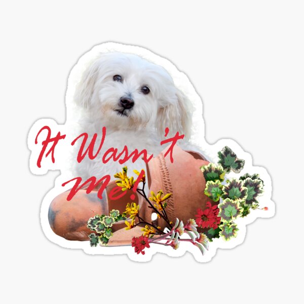 Item preview, DOG QUOTES, PUPPY MEMES, FUN DOG TEE SHIRTS designed and sold by Barbara Jean Photo Art And Design.