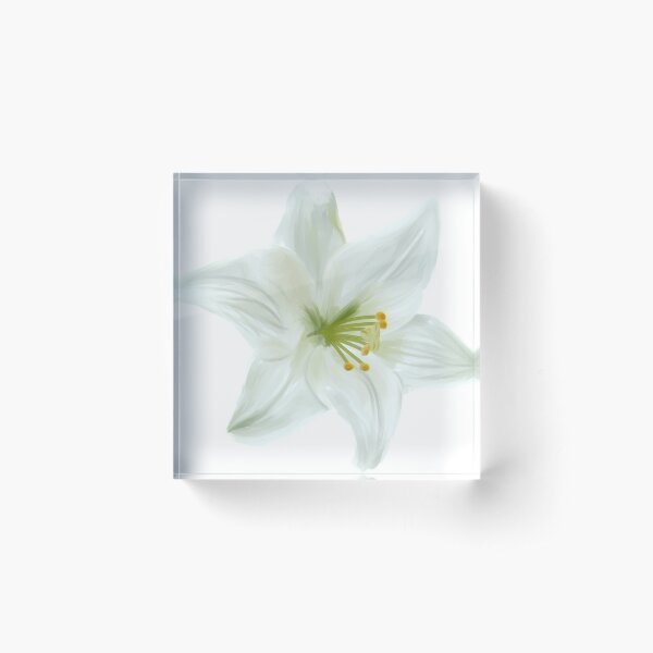 Painted White Lily Acrylic Block
