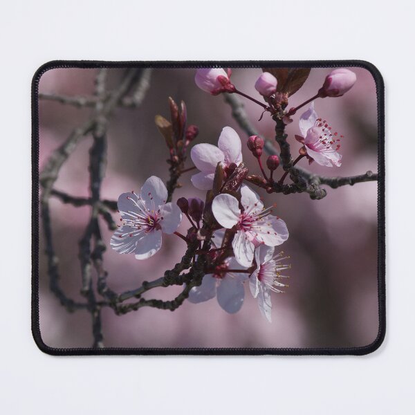 Item preview, Prunus Blossom designed and sold by Kim Chi Thai.