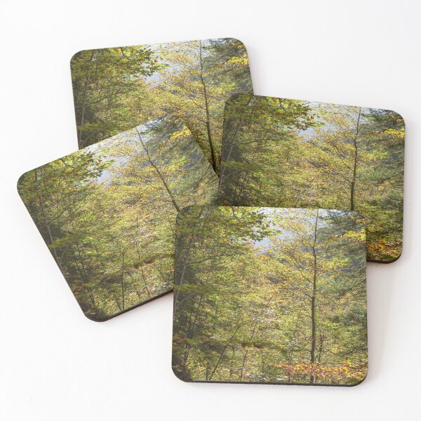 Item preview, Autumnal forest in the Partnachtal, Garmisch-Partenkirchen designed and sold by Torsten  Krüger.