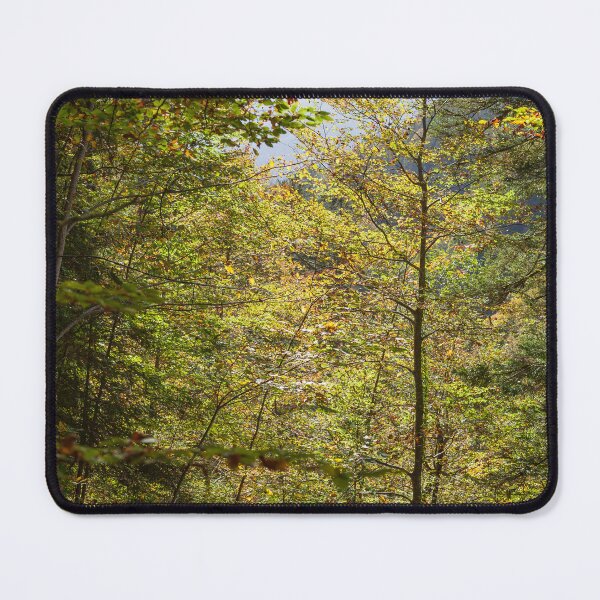 Item preview, Autumnal forest in the Partnachtal, Garmisch-Partenkirchen designed and sold by Torsten  Krüger.