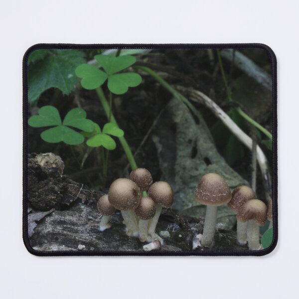 Item preview, Mushrooms and Wood Sorrel designed and sold by WolfNoodles.