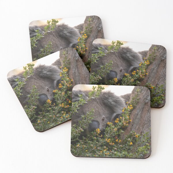 Item preview, Koala Hiding designed and sold by Images by Chris de Blank.