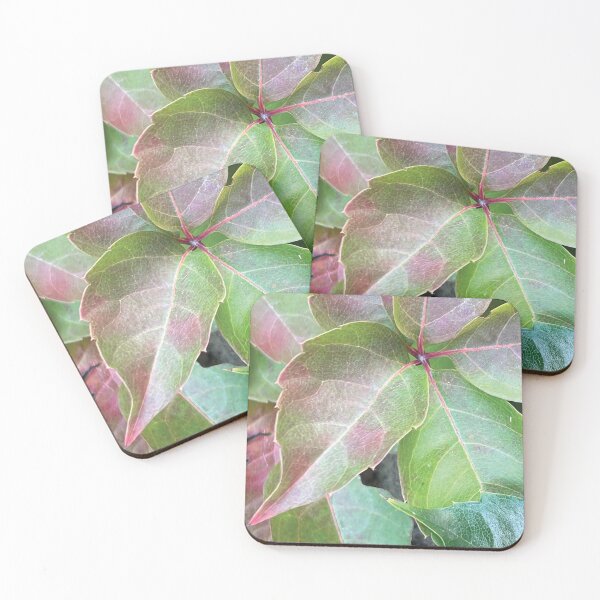 Item preview, Autumn full A wonderful picture of autumn colors Beautiful nature leaf colors special, unique gift designed and sold by ayaato.